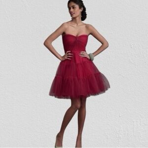 VA ET VIEN Strapless Tulle Dress in Raspberry Pink
